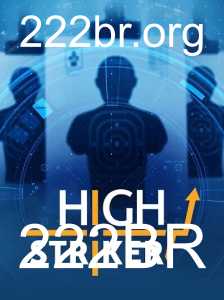 HighStriker: O Desafio dos Fortes